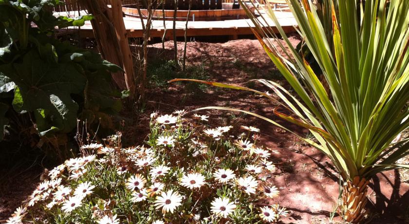 Atacama-Adventure Wellness & Ecolodge Сан-Педро-де-Атакама Экстерьер фото